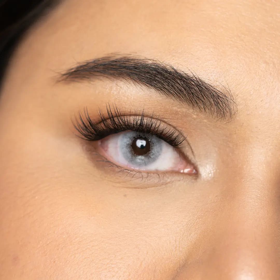 עדשות צבע Grey Smoke