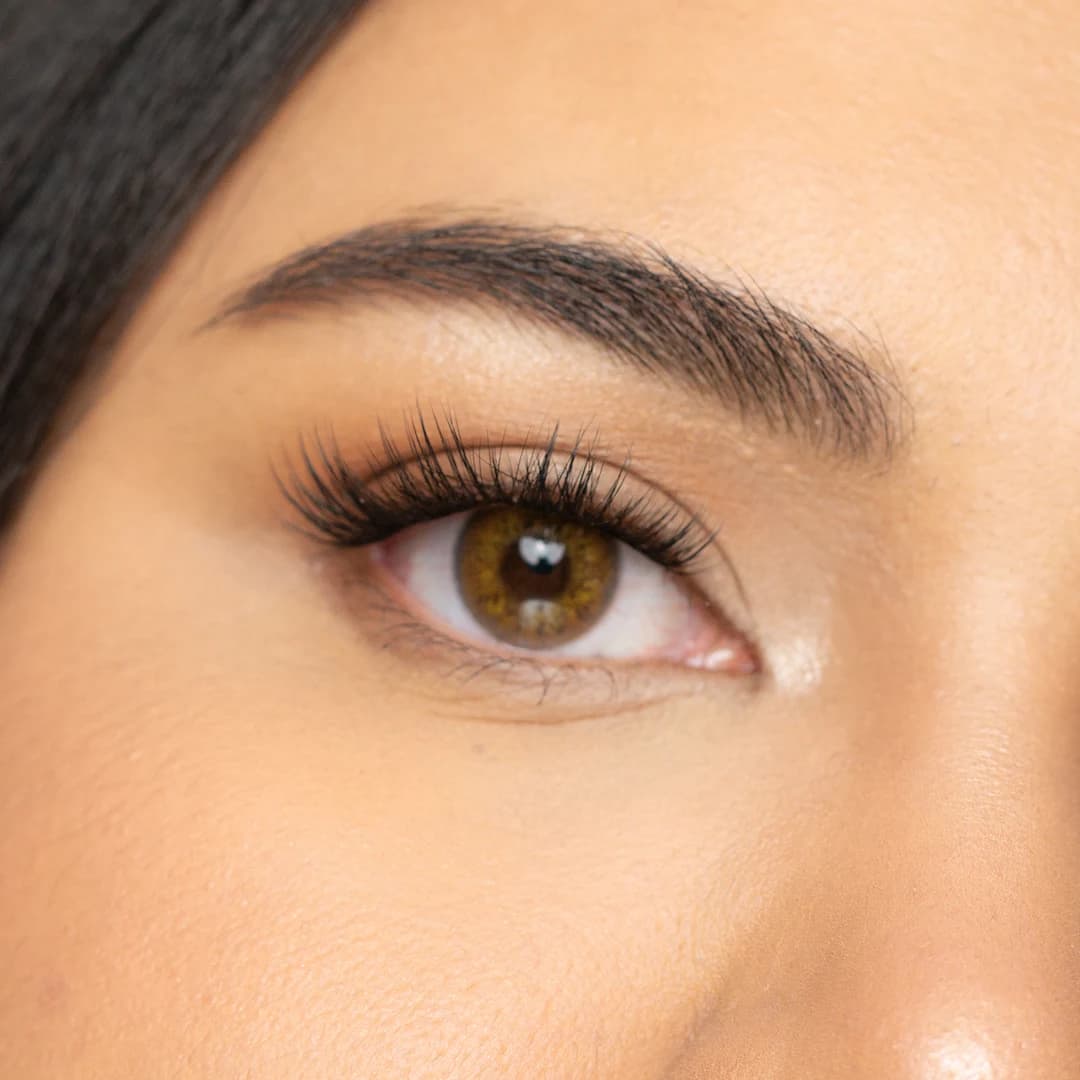 עדשות צבע Golden Brown