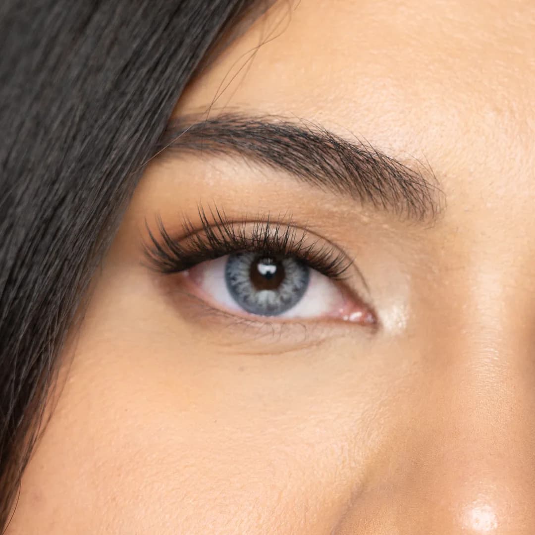 עדשות צבע Skyline Gray