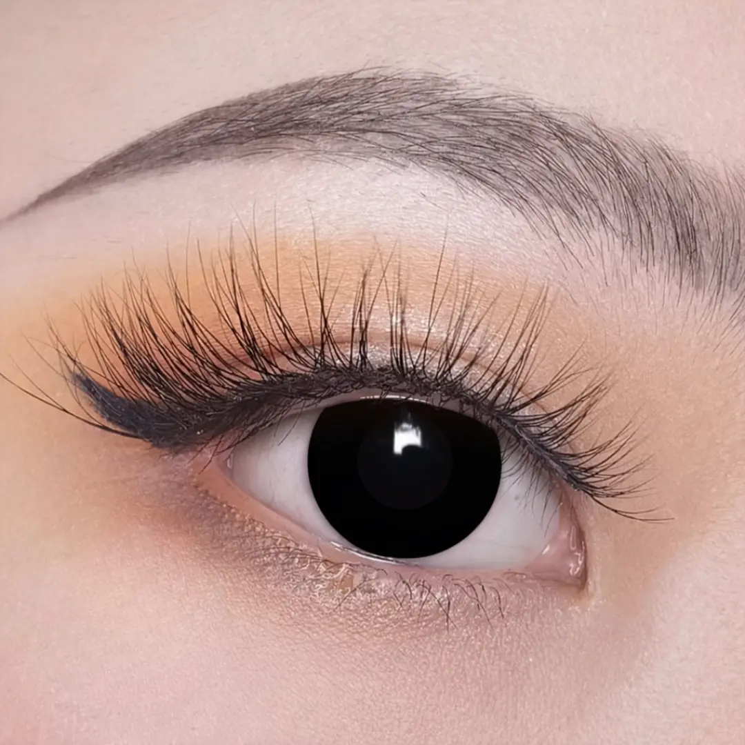 עדשות צבע לפורים  Black Block